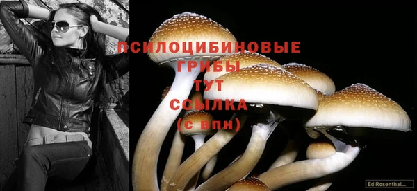 герыч Зеленокумск