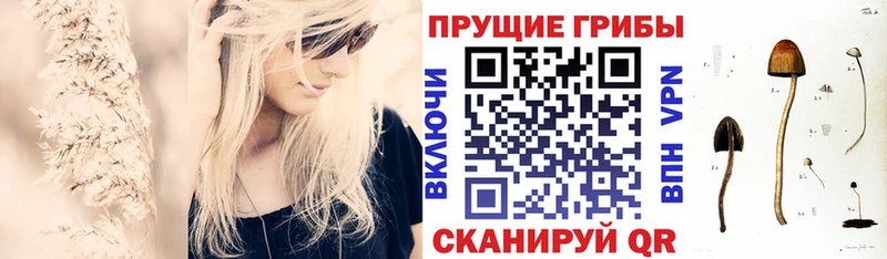 Галлюциногенные грибы MAGIC MUSHROOMS  даркнет сайт  Сретенск 